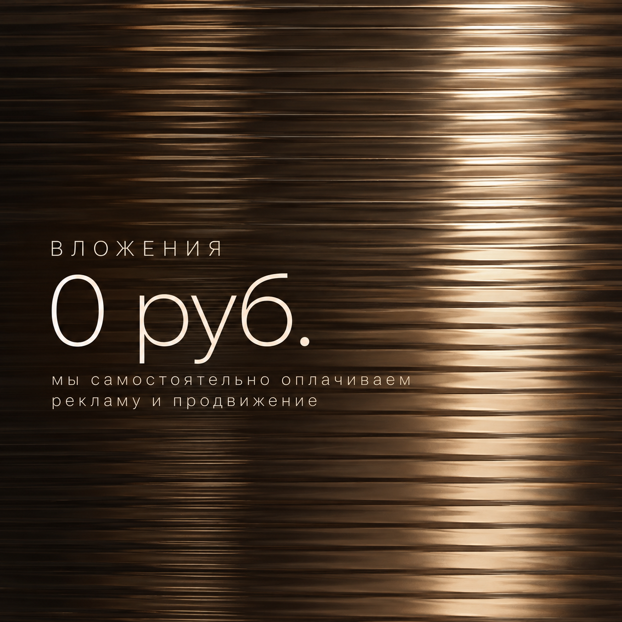Вложения: 0 руб. — мы самостоятельно оплачиваем рекламу и продвижение